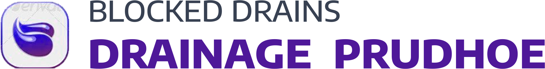 website logo